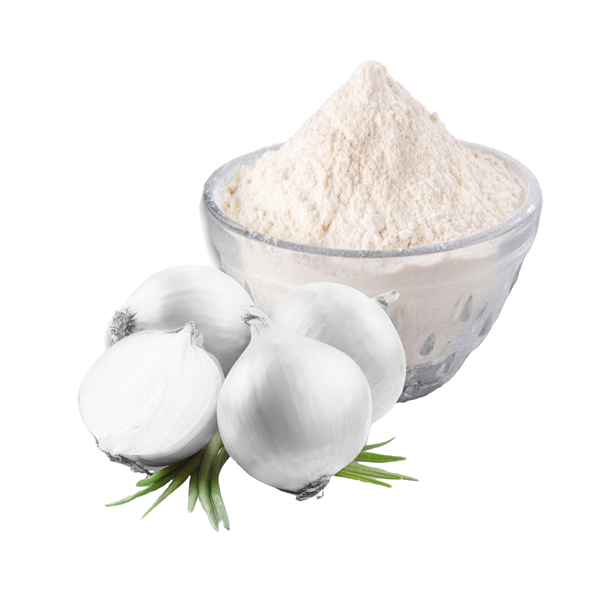 White Onion Powder